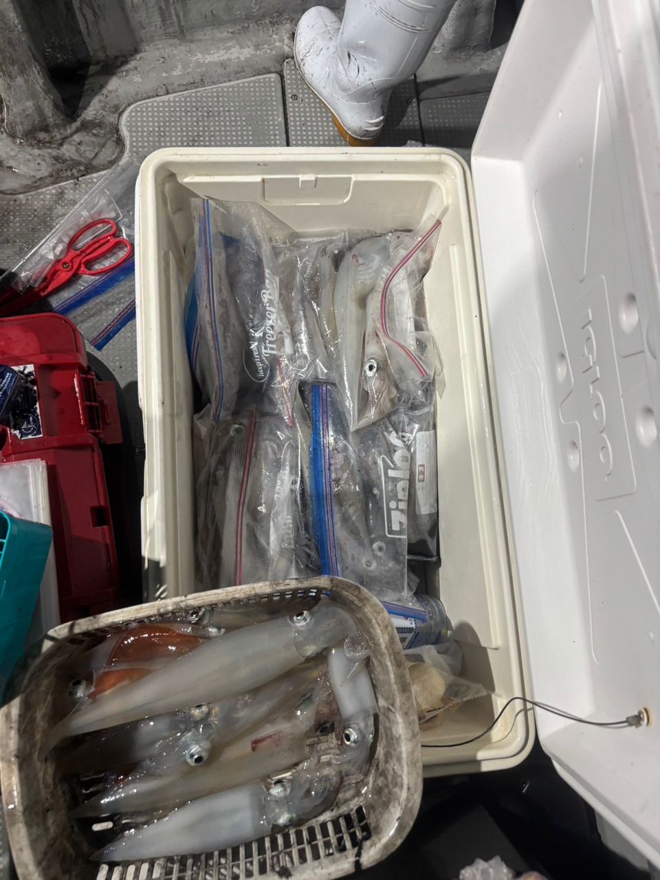 田畑良朗@なつき丸さんの釣果 2枚目の画像