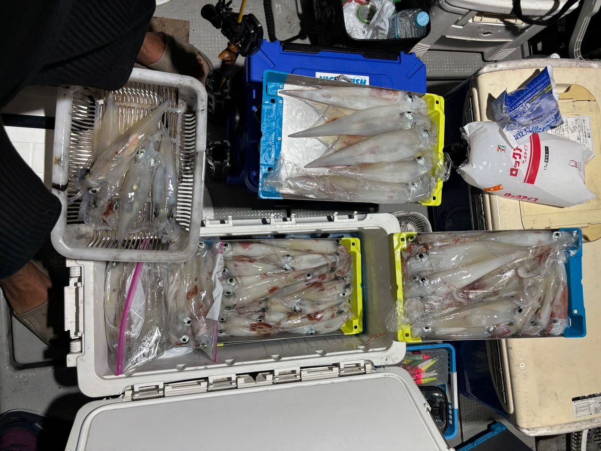 田畑良朗@なつき丸さんの釣果 3枚目の画像