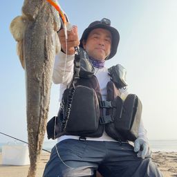 マゴチ