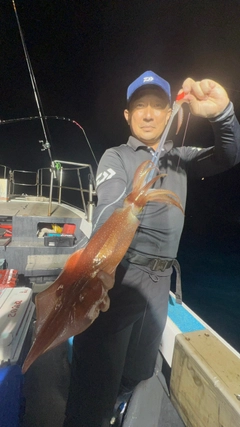 ケンサキイカの釣果