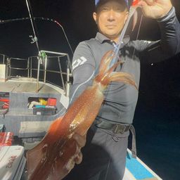 ケンサキイカ