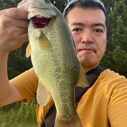 ブラックバス
