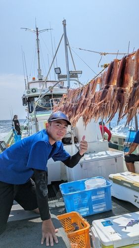 スルメイカの釣果