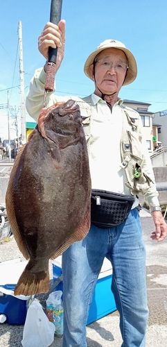 ヒラメの釣果