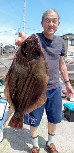 ヒラメの釣果