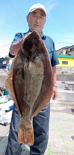 ヒラメの釣果
