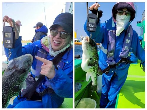 トラフグの釣果