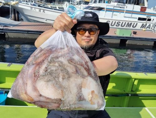 マダコの釣果