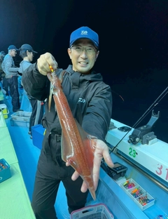 ケンサキイカの釣果