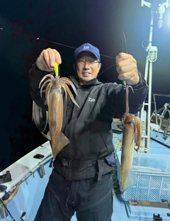 ケンサキイカの釣果