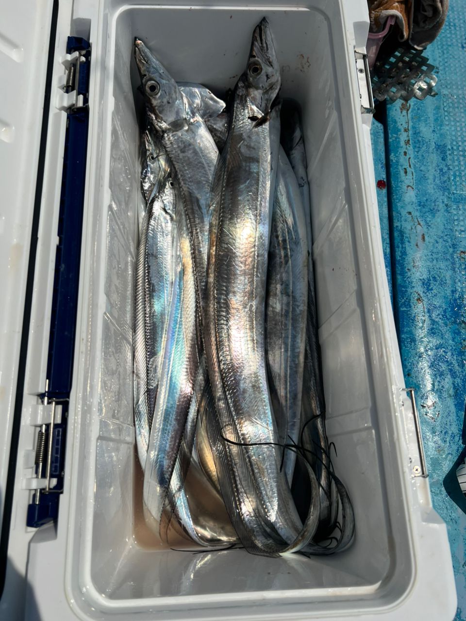 ☆☆TAKAHIRO☆☆さんの釣果 2枚目の画像