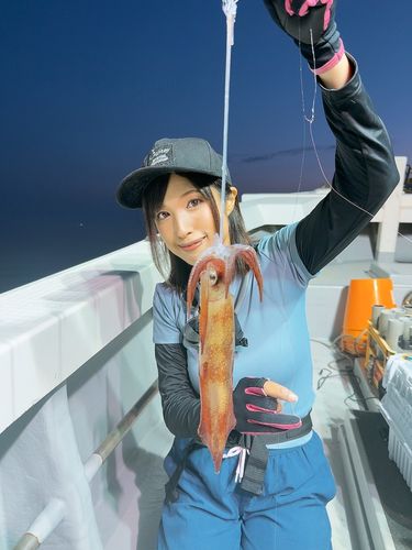 スルメイカの釣果