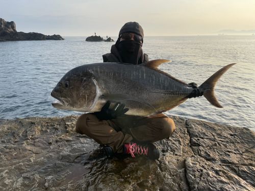 GTの釣果