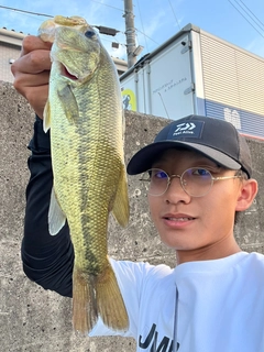 ラージマウスバスの釣果