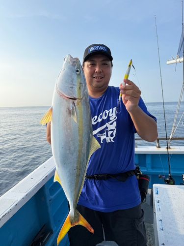 ワラサの釣果