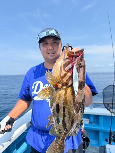 ホウキハタの釣果