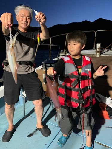 ケンサキイカの釣果