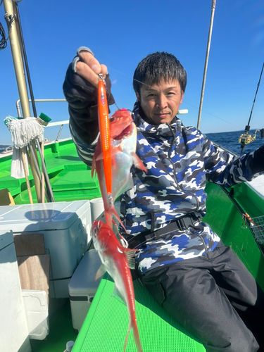 キンメダイの釣果