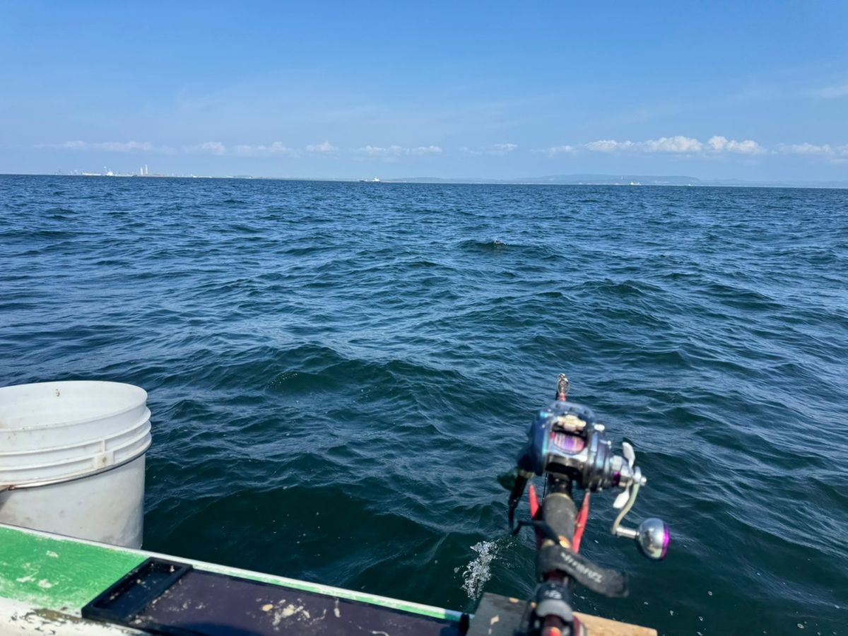 kunchanさんの釣果 2枚目の画像