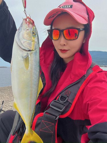 フクラギの釣果