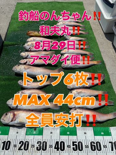 シロアマダイの釣果