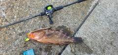 釣果