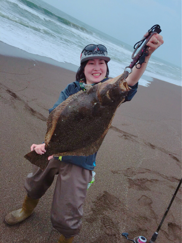 ヒラメの釣果