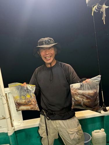 スルメイカの釣果