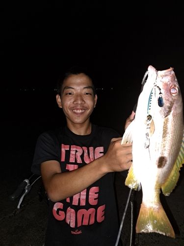 フエフキダイの釣果