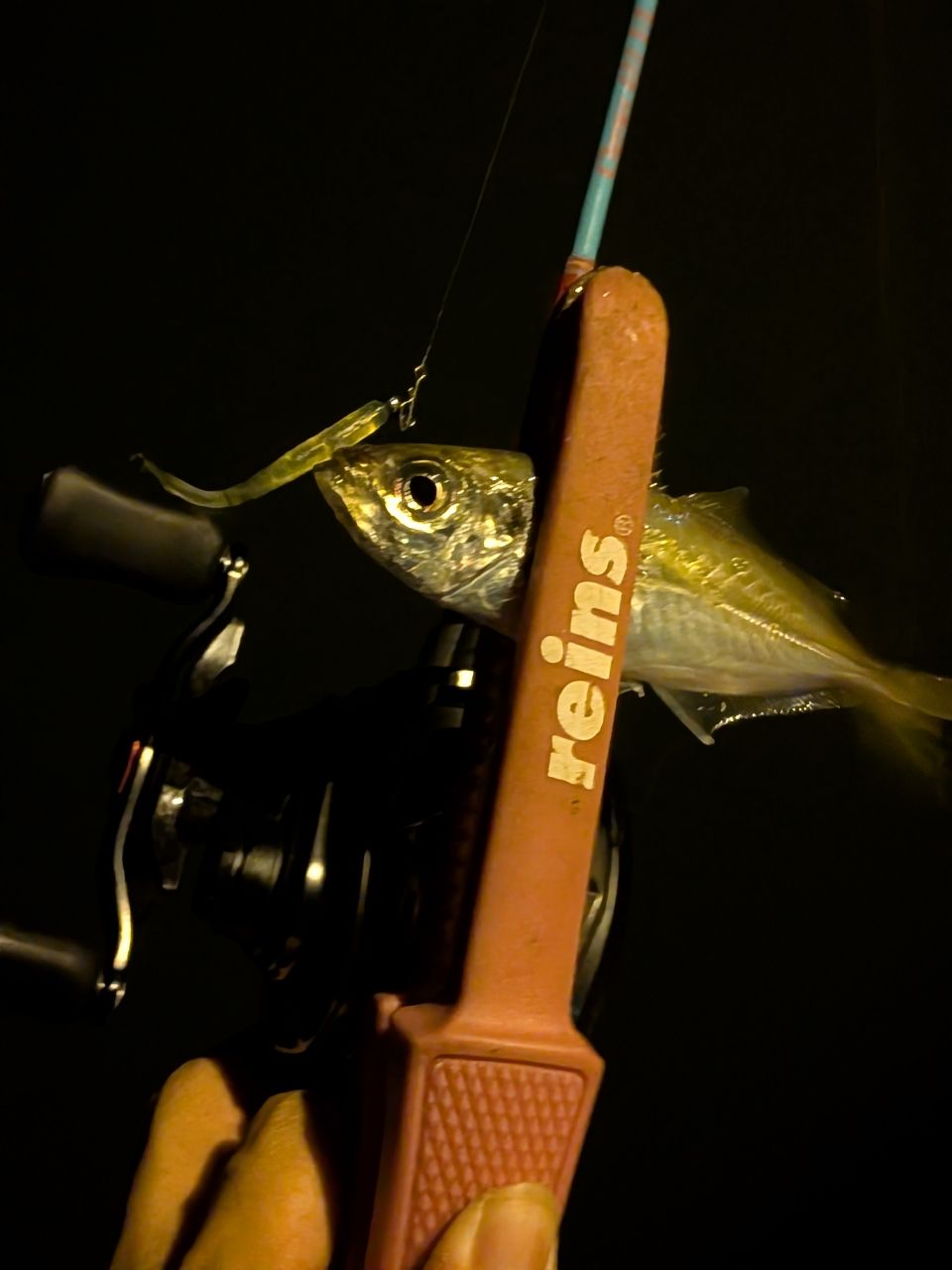 TULALA 22トリュテ Clerus411ULの最安値・インプレ・釣果 | 本音の