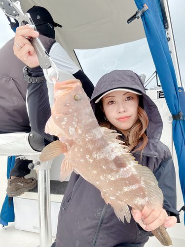 アコウの釣果