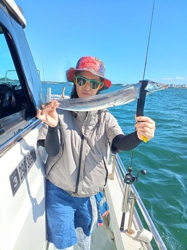 タチウオの釣果