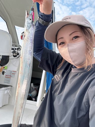 タチウオの釣果