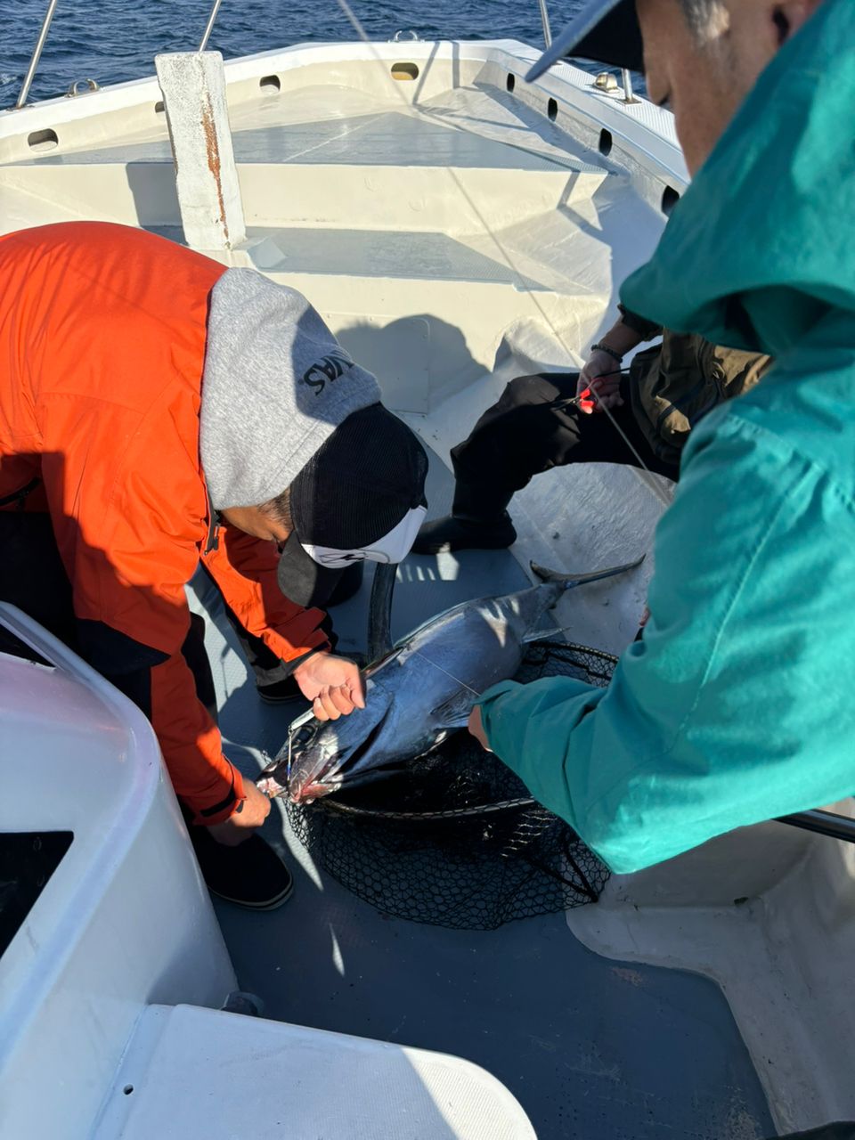 どかじゃさんの釣果 3枚目の画像