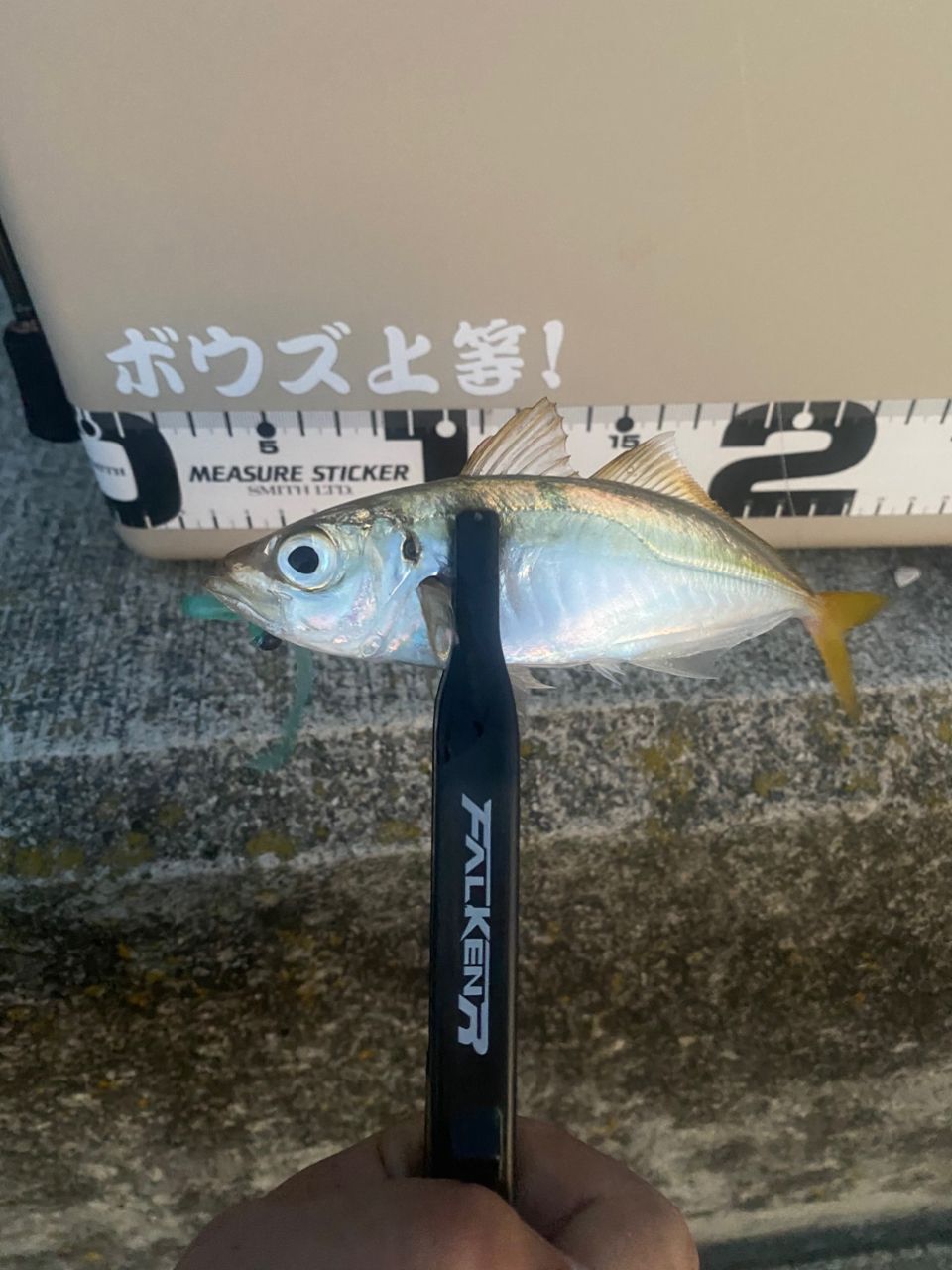 MajorCraft 鯵道 5G AD5-S582L/AJIの最安値・インプレ・釣果