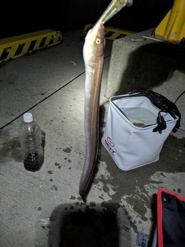 釣果