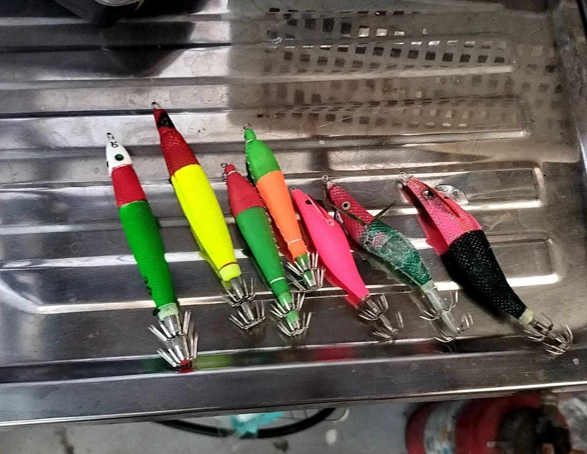 ジャックパパさんの釣果 3枚目の画像