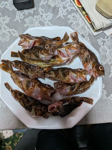 釣果