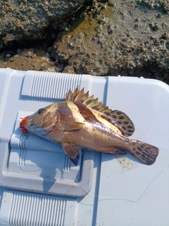 釣果