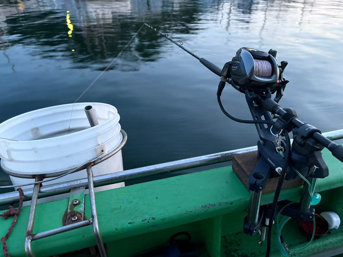 ルナパパさんの釣果 1枚目の画像