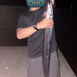 タチウオ