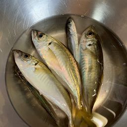 アジ