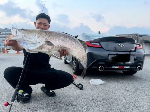 アカメの釣果