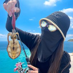 アオリイカ
