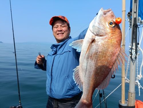 マダイの釣果