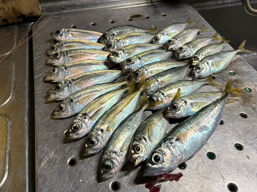 御所浦島