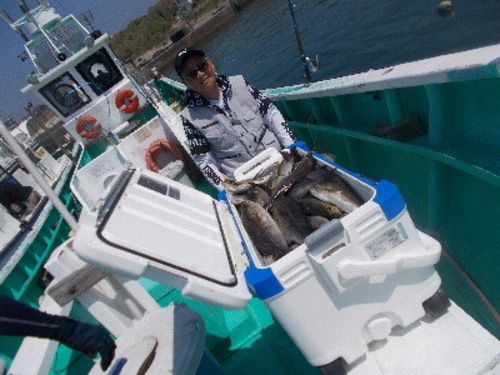 イサキの釣果