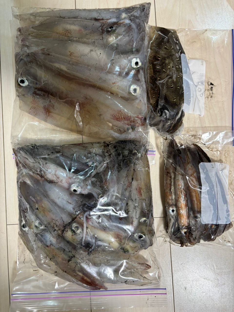 タッチーさんの釣果 3枚目の画像