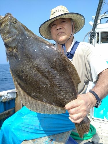 ヒラメの釣果
