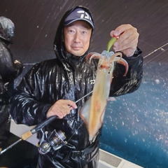 ケンサキイカの釣果